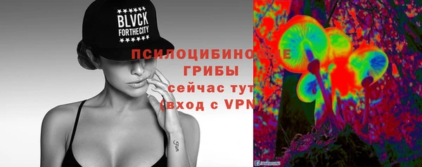 эйфоретик Арсеньев