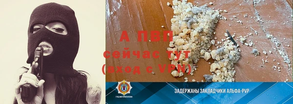 СК Аркадак